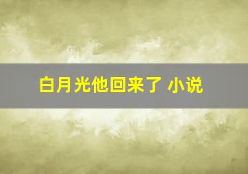 白月光他回来了 小说